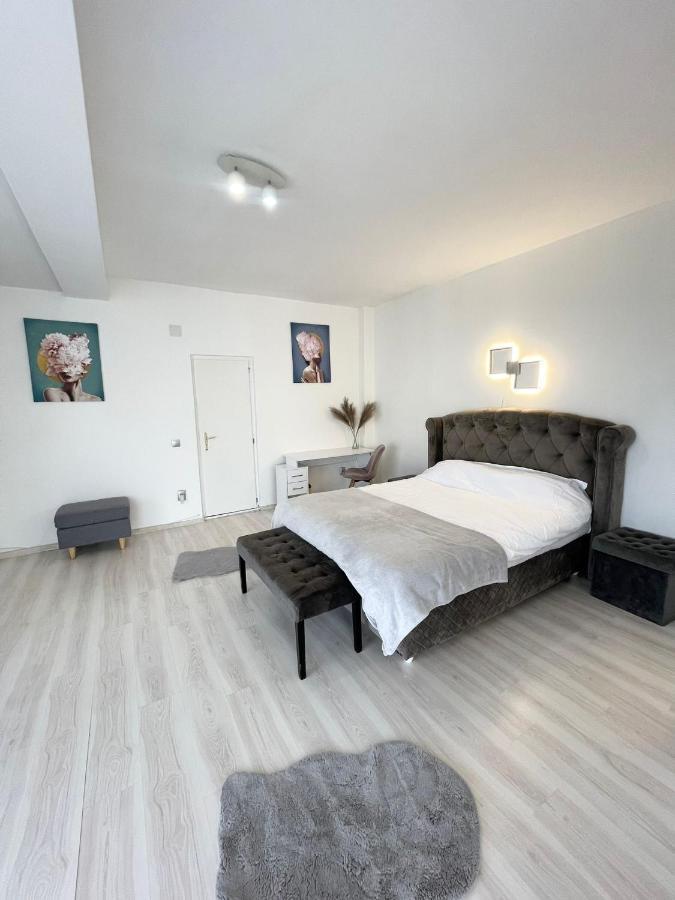 Panoramic Studio